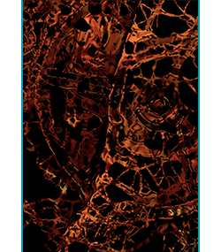 (a)utom@ton, an audiovisual work by Clara Maïda