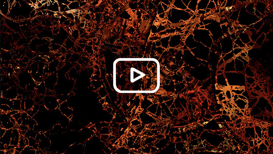 Clara Maïda | (a)utom@ton, an audiovisual work
