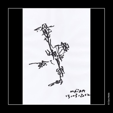 Clara-Maida Rhizhommes 7