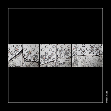 Clara-Maida off-road-byroad Triptych